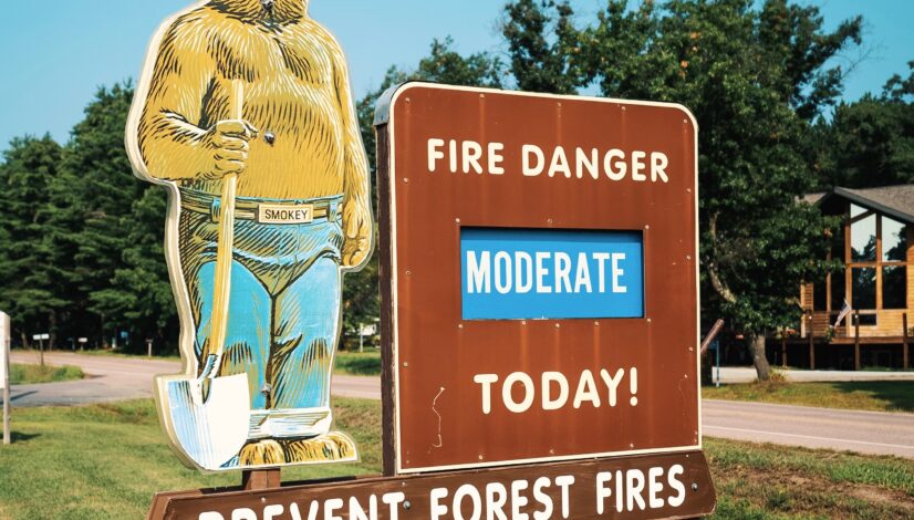 Forest Fires at Your Boundaries
